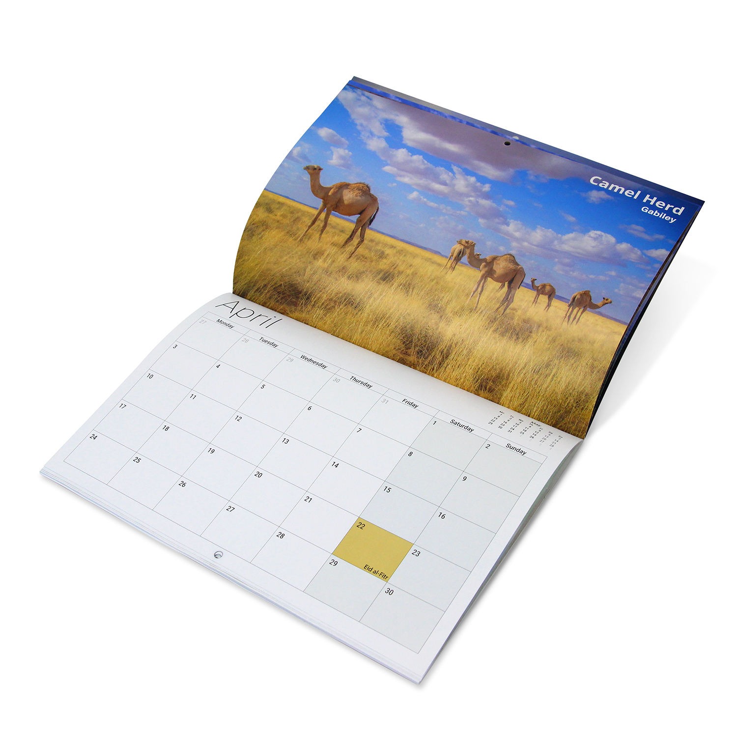 Wall calendars