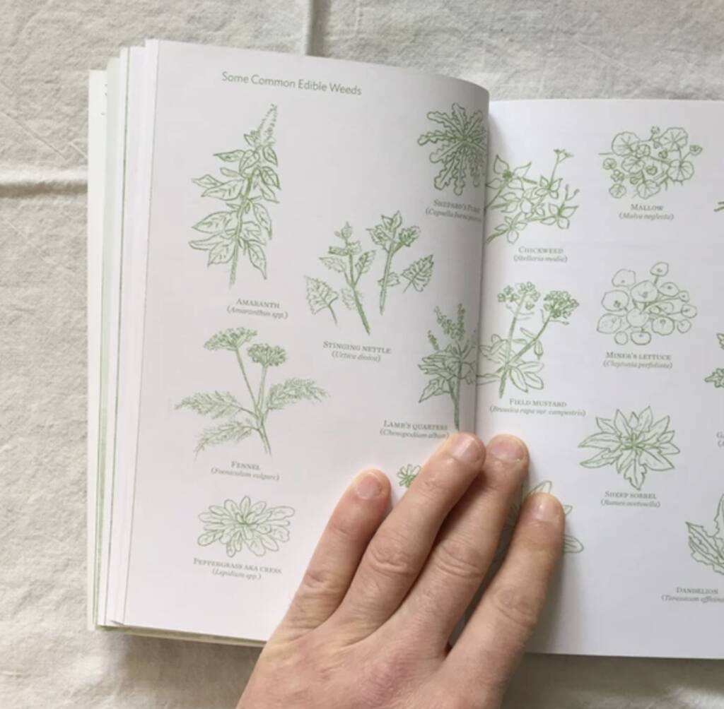 Garden journals - Image 4