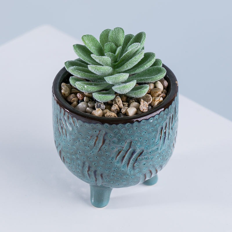 Mini succulents - Image 6