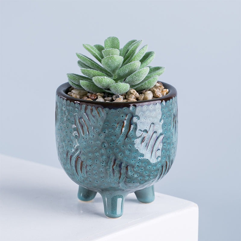 Mini succulents - Image 5