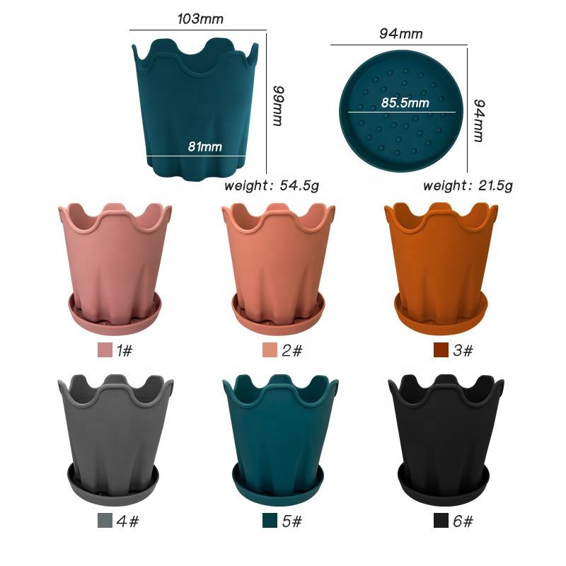 Seed kits (compact) - Image 2