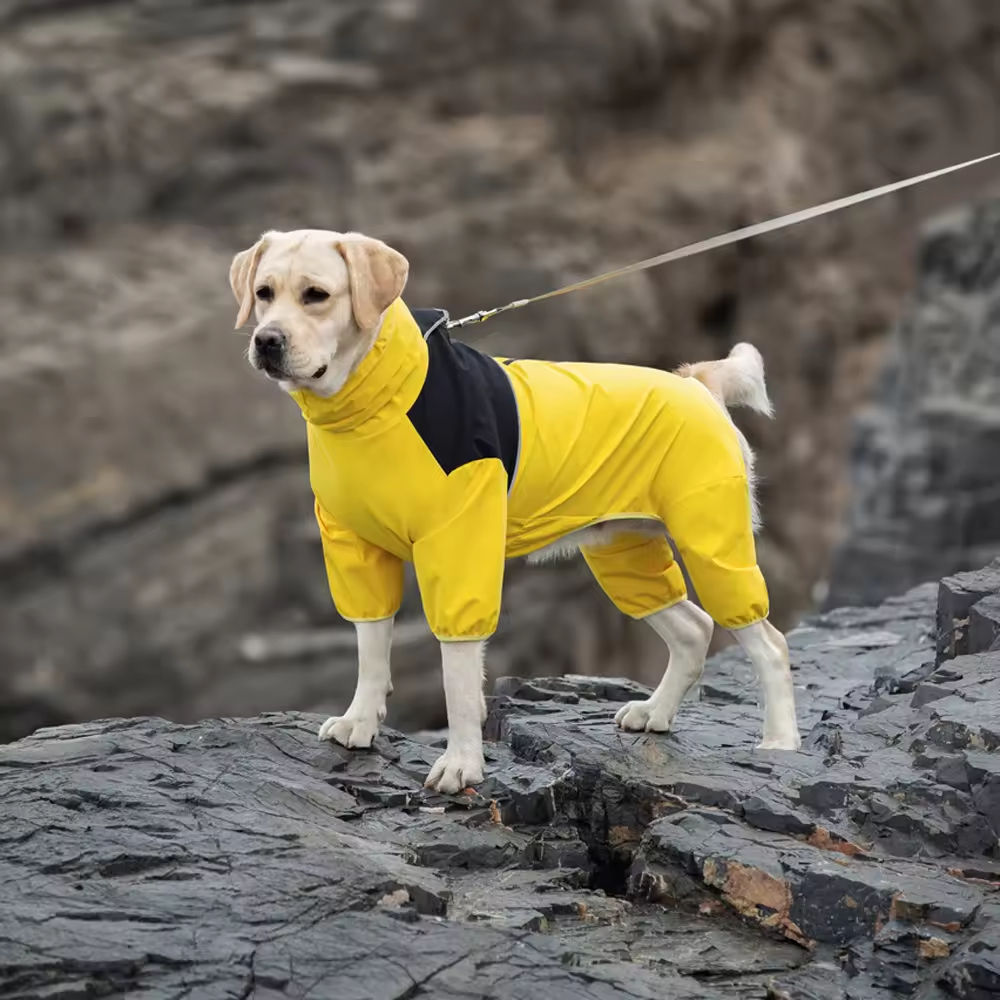 Pet raincoats - Image 5